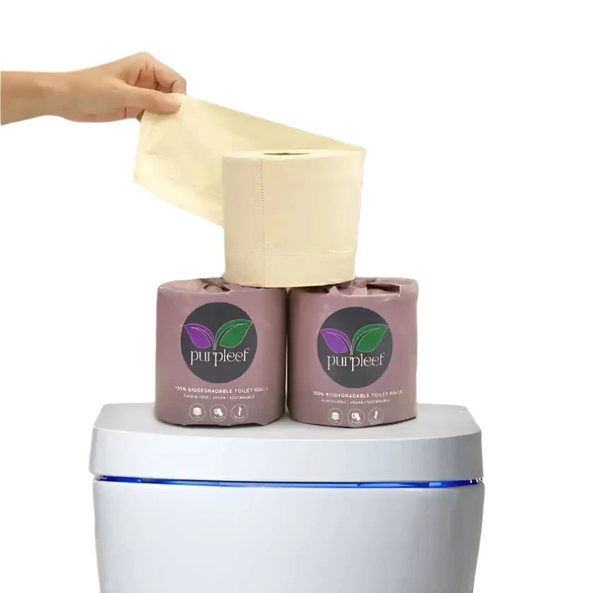 toilet rolls